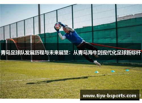 青岛足球队发展历程与未来展望:从青岛海牛到现代化足球新标杆 青岛足球队发展历程与未来展望:从青岛海牛到现代化足球新标杆