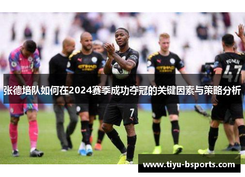 张德培队如何在2024赛季成功夺冠的关键因素与策略分析